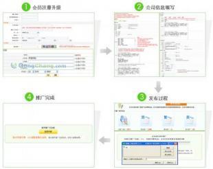 网络推广利器 如何选择既省钱又高效的网络赚钱帮手